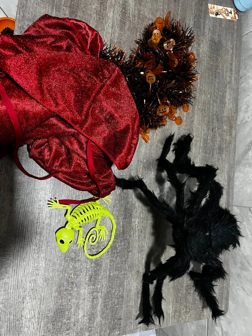 Halloween decoration set — photo 1