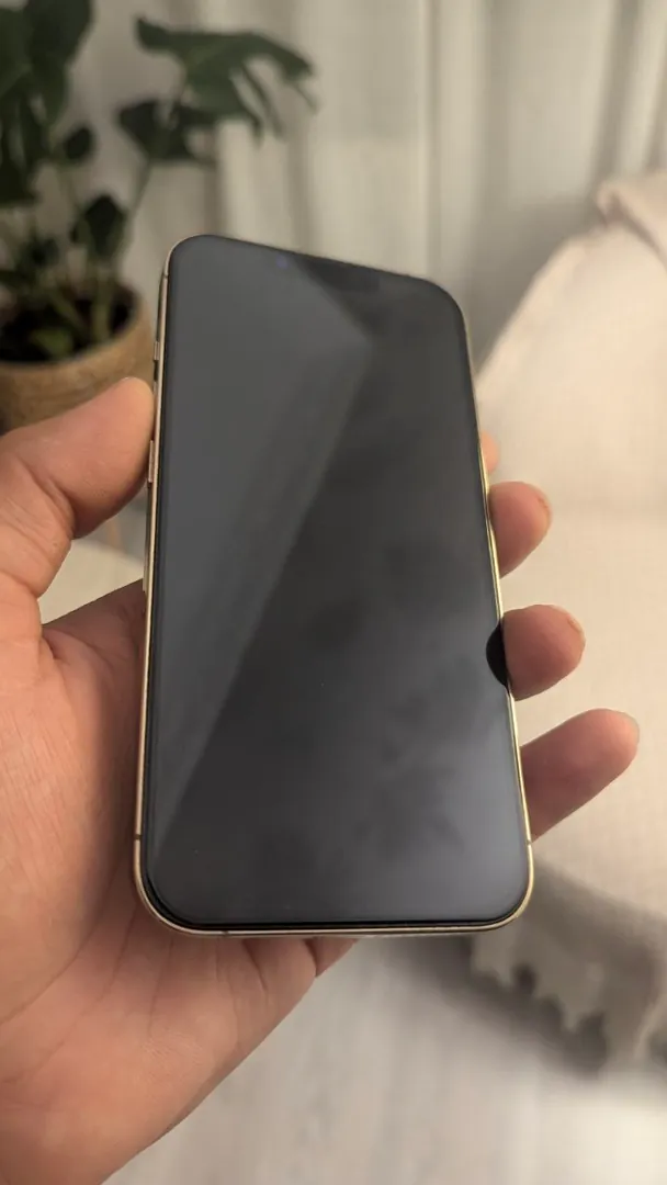 iPhone 13 Pro 256 გბ — ფოტო 2