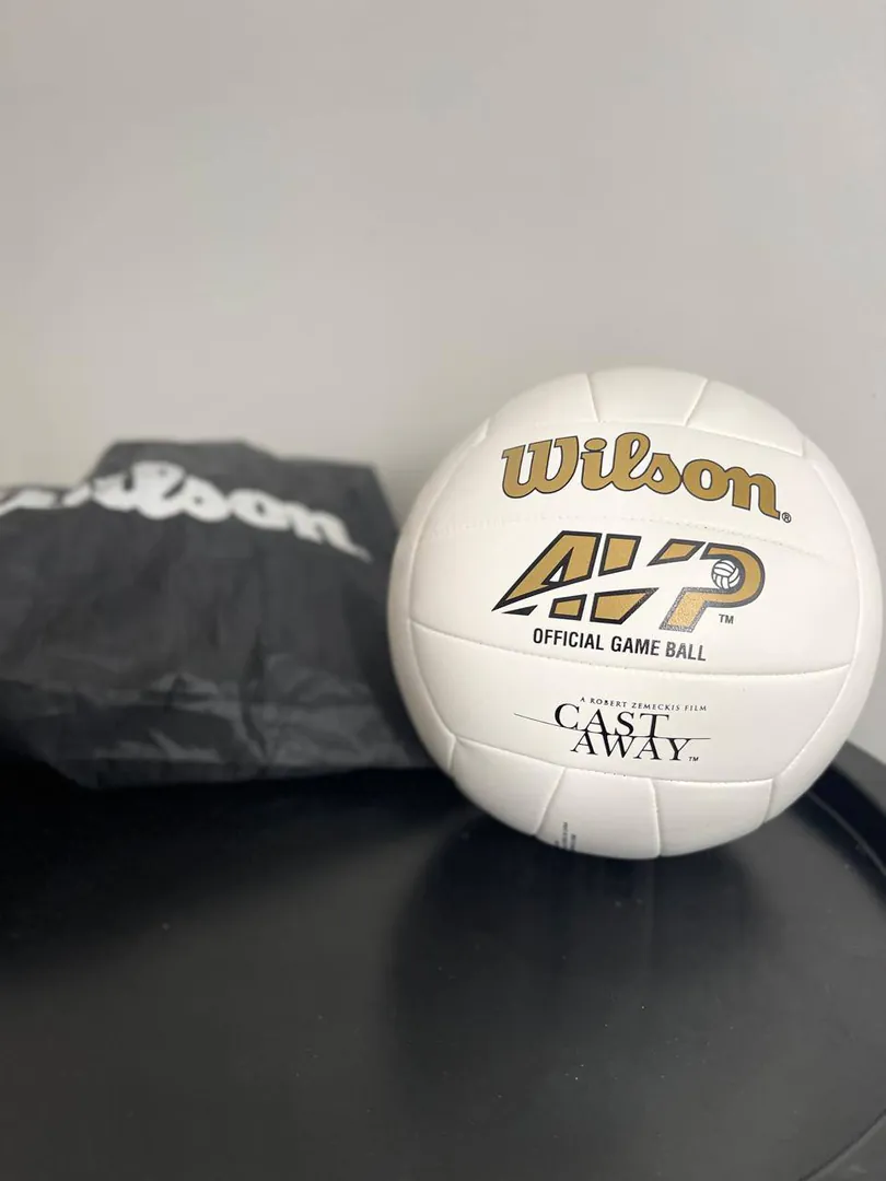 Wilson Volleyball — photo 1