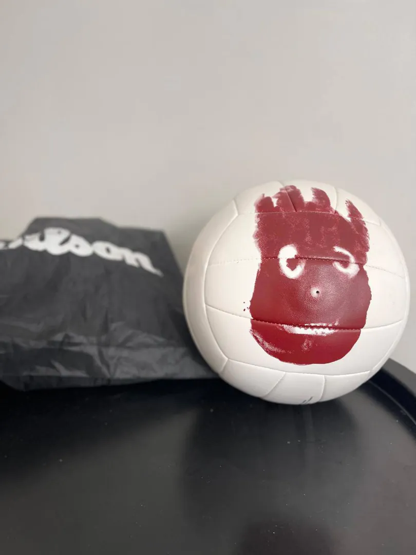 Wilson Volleyball — photo 2