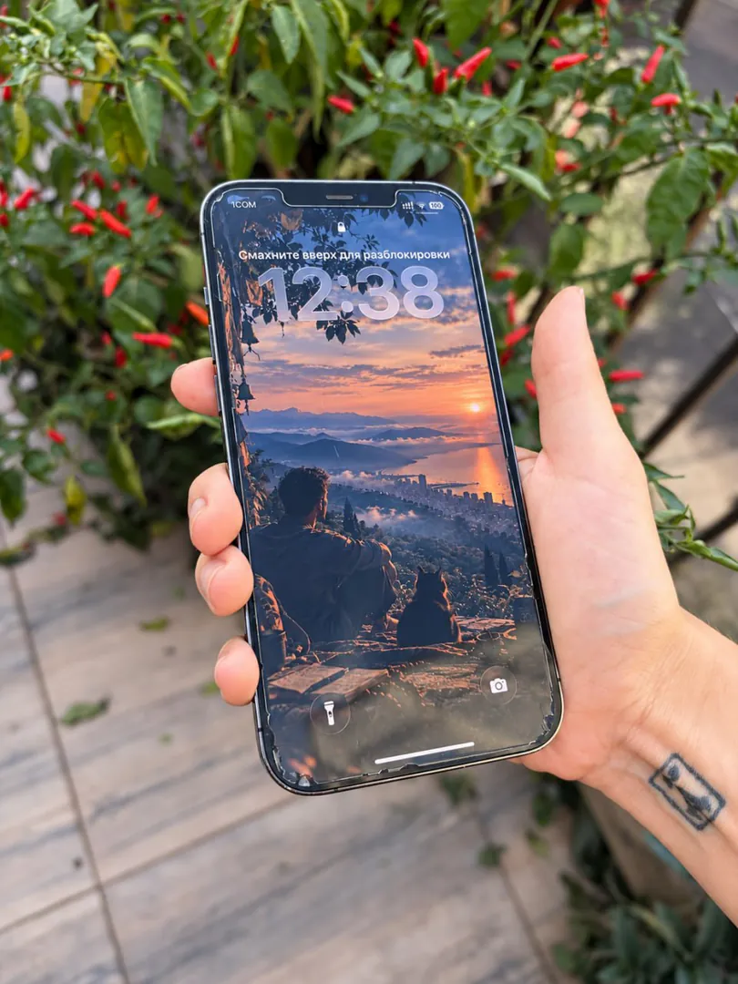 iPhone 12 Pro Max 256 GB — ფოტო 2