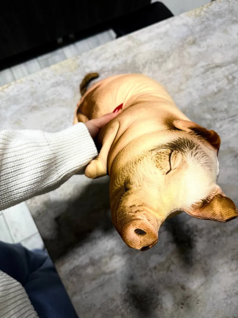 Piglet pillow with a lock — photo 2