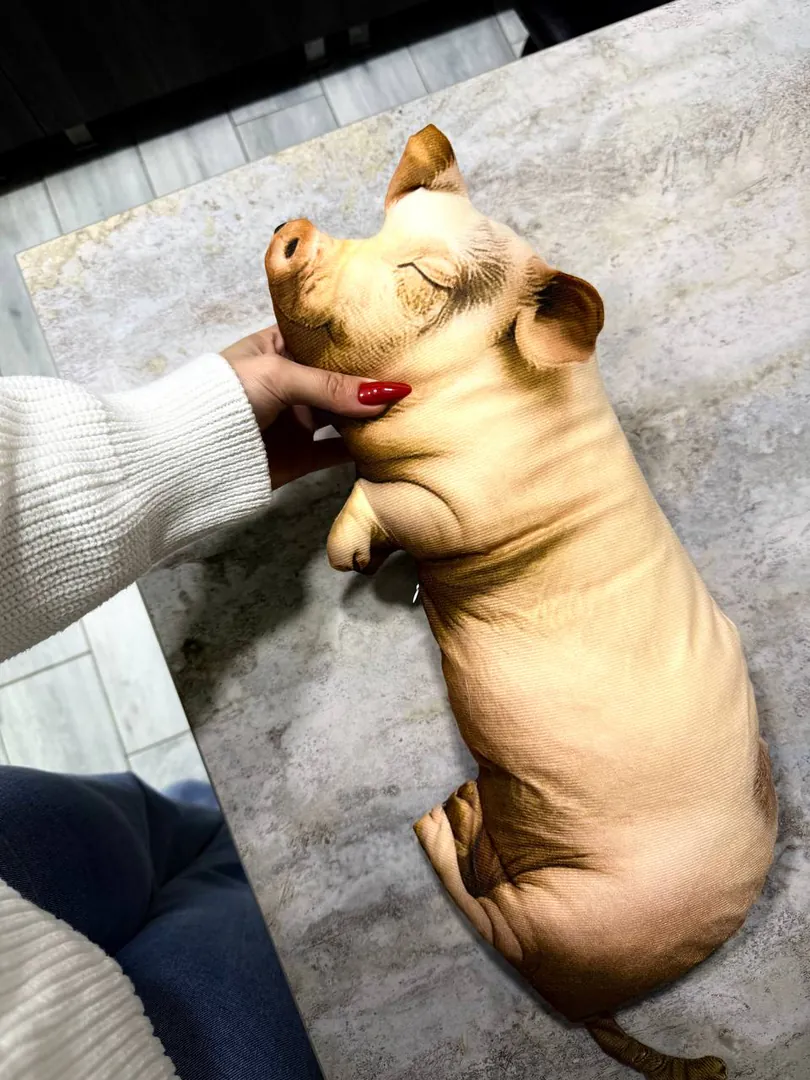 Piglet pillow with a lock — photo 3