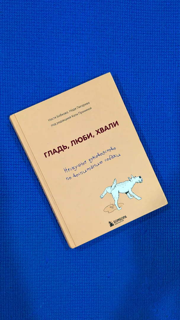 წიგნი: გალეს, შეიყვარე, დააქებ — ფოტო 1
