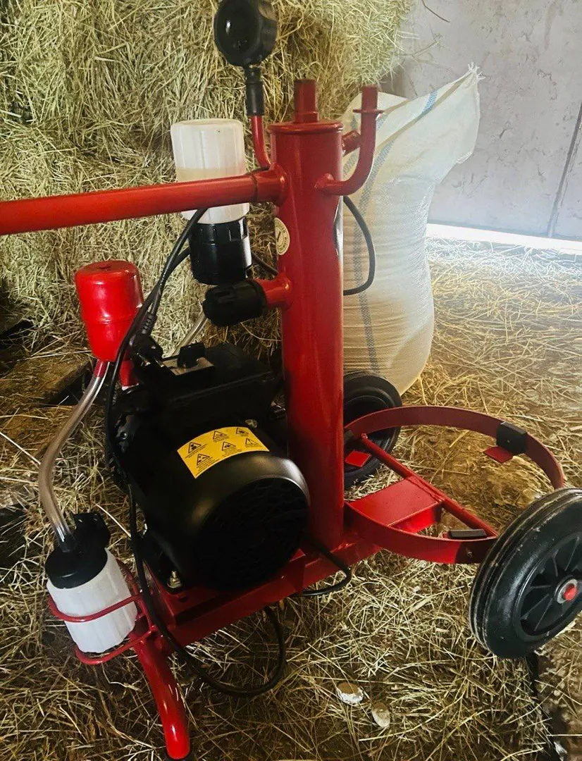 Melasty milking machine for cows — photo 3