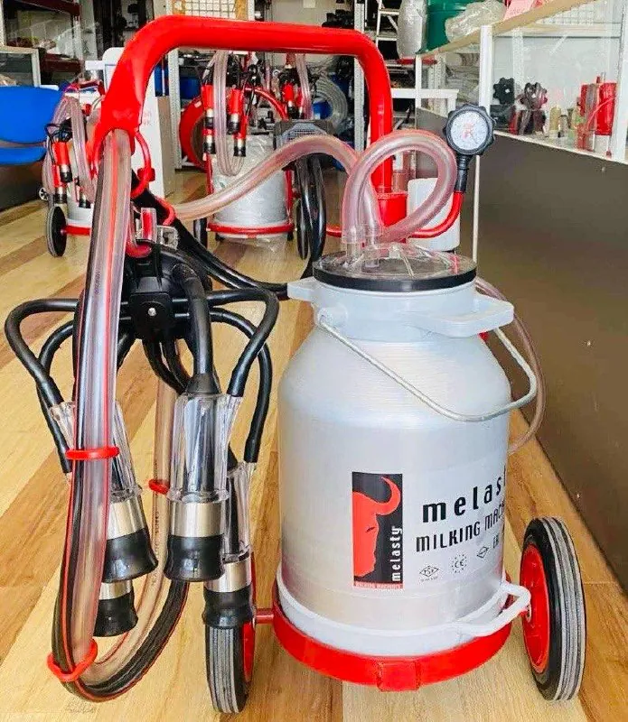 Melasty milking machine for cows — photo 5