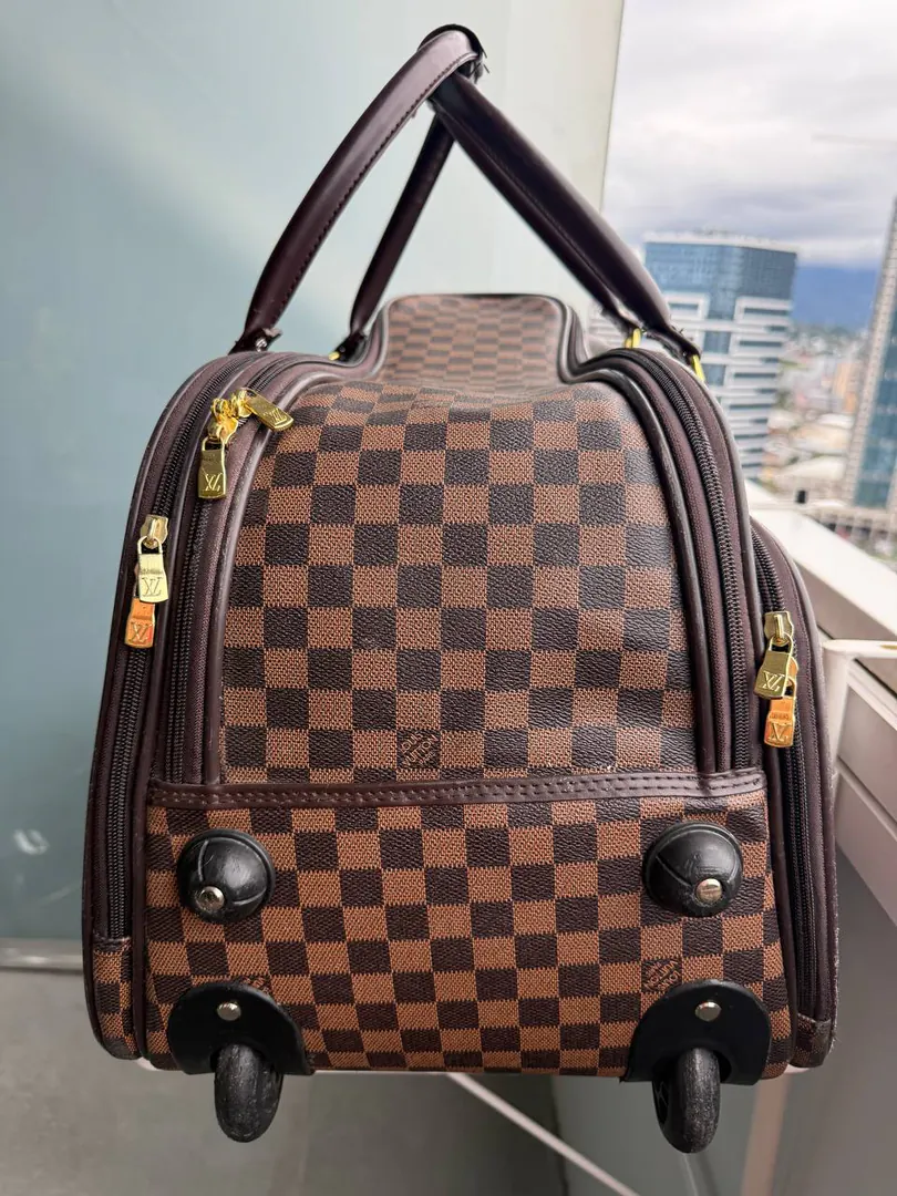 Travel bag on 2 wheels — photo 3