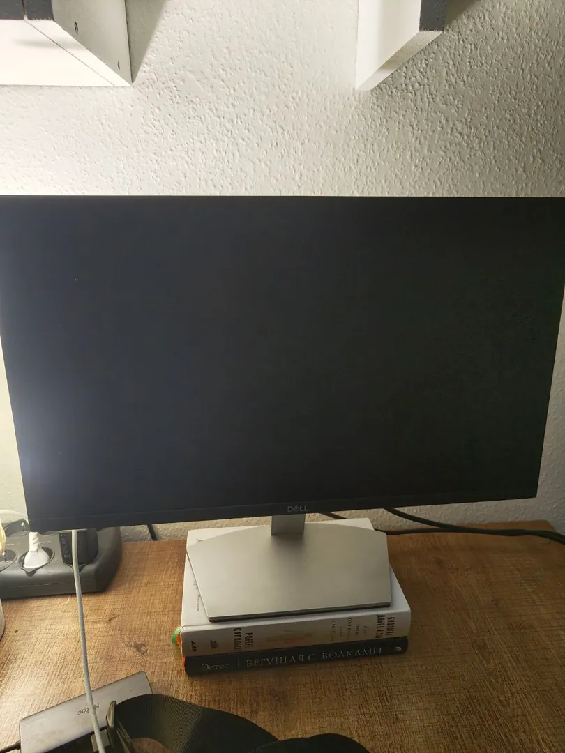 Dell 24-inch Monitor — photo 1