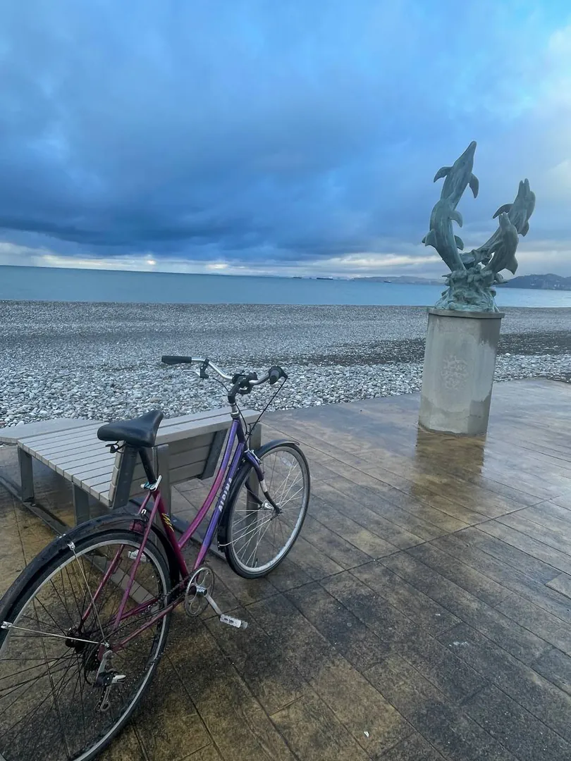 Alpina bicycle, Dutch frame — photo 1