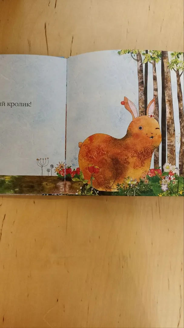 Il Sung Na children's winter book — photo 1