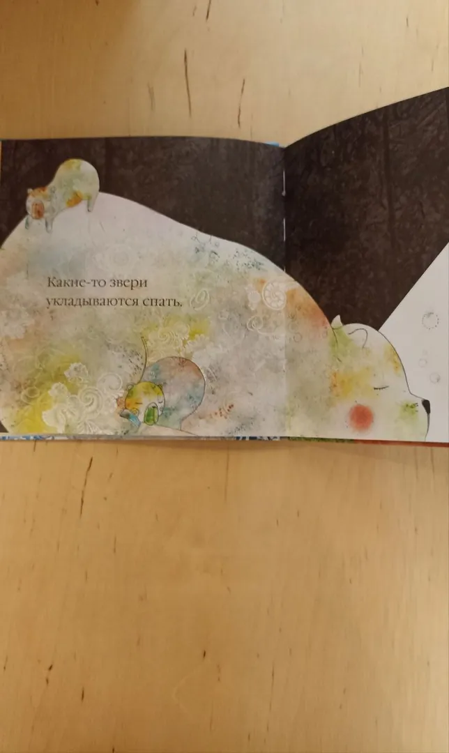 Il Sung Na children's winter book — photo 2