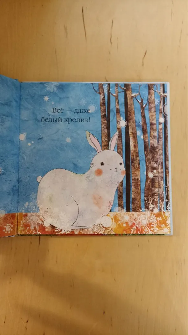 Il Sung Na children's winter book — photo 4