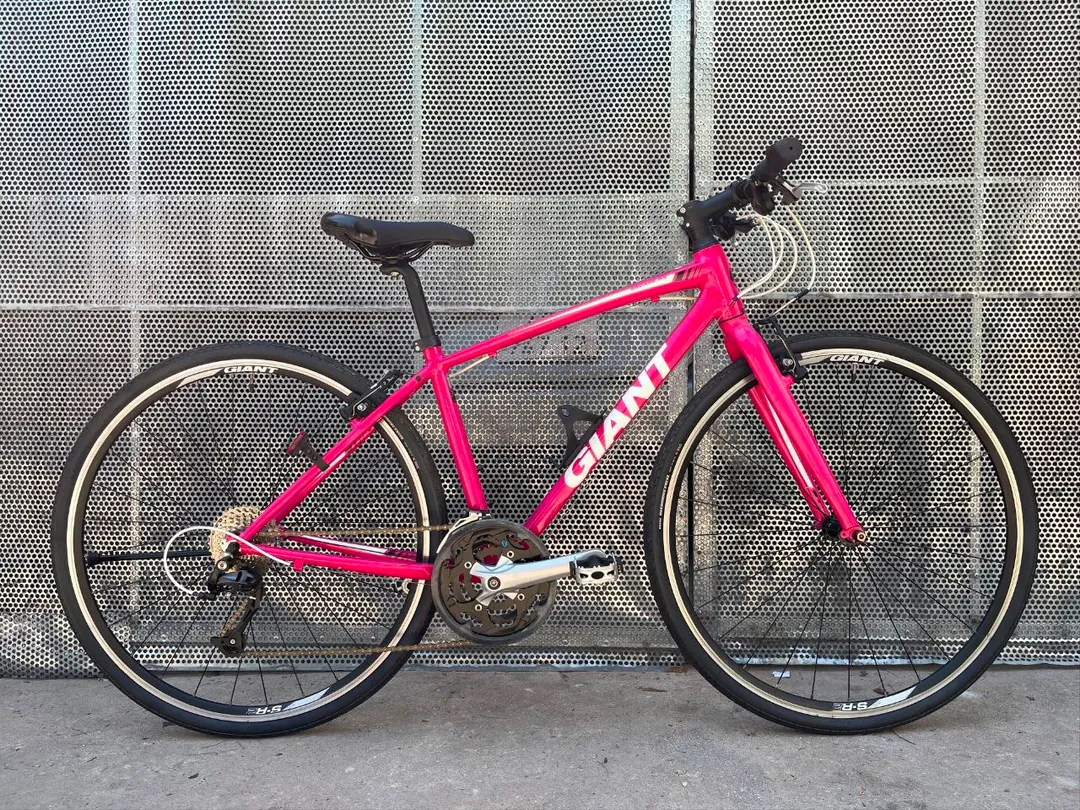 Bicycle Giant Escape RX XS — photo 5