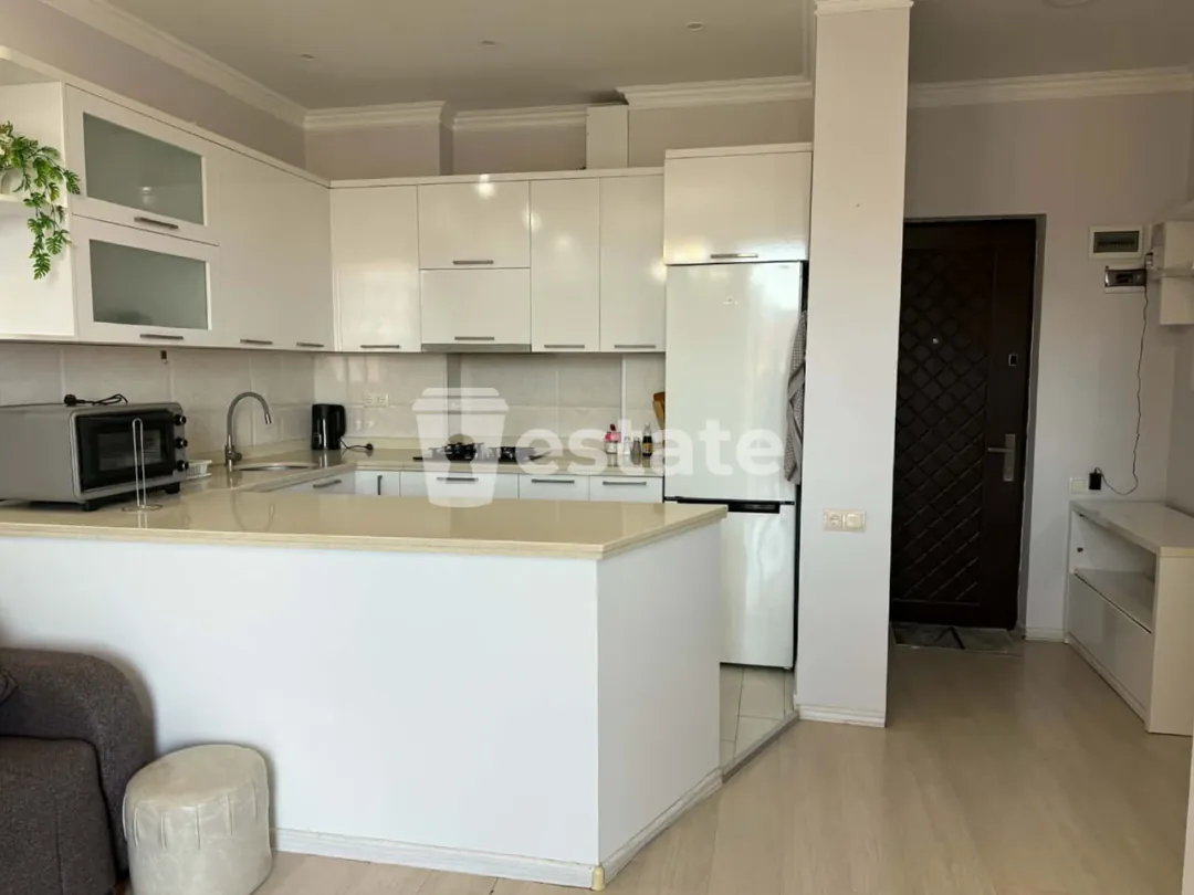 Comfortable 1+1 apartment for rent near May 6th Park — photo 2