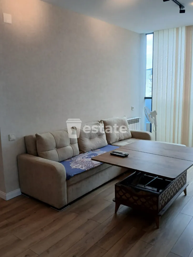 Renting out a comfortable 2+1 near the Alley of Heroes — photo 1