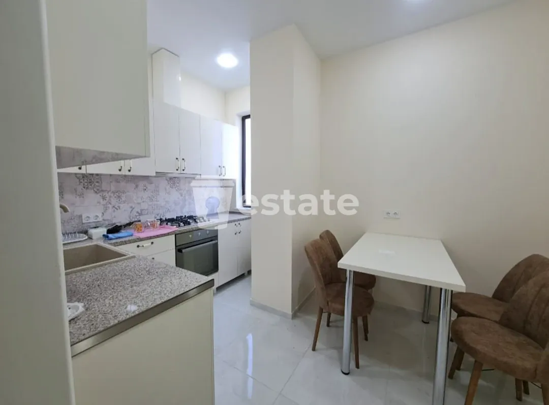 Spacious 1+1 for rent near DS Mall — photo 3