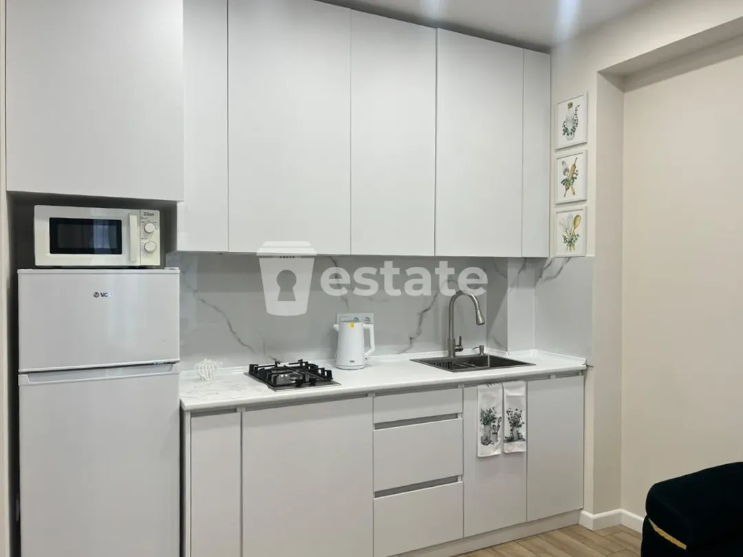 Fresh 1+1 for rent near the Alley of Heroes — photo 4