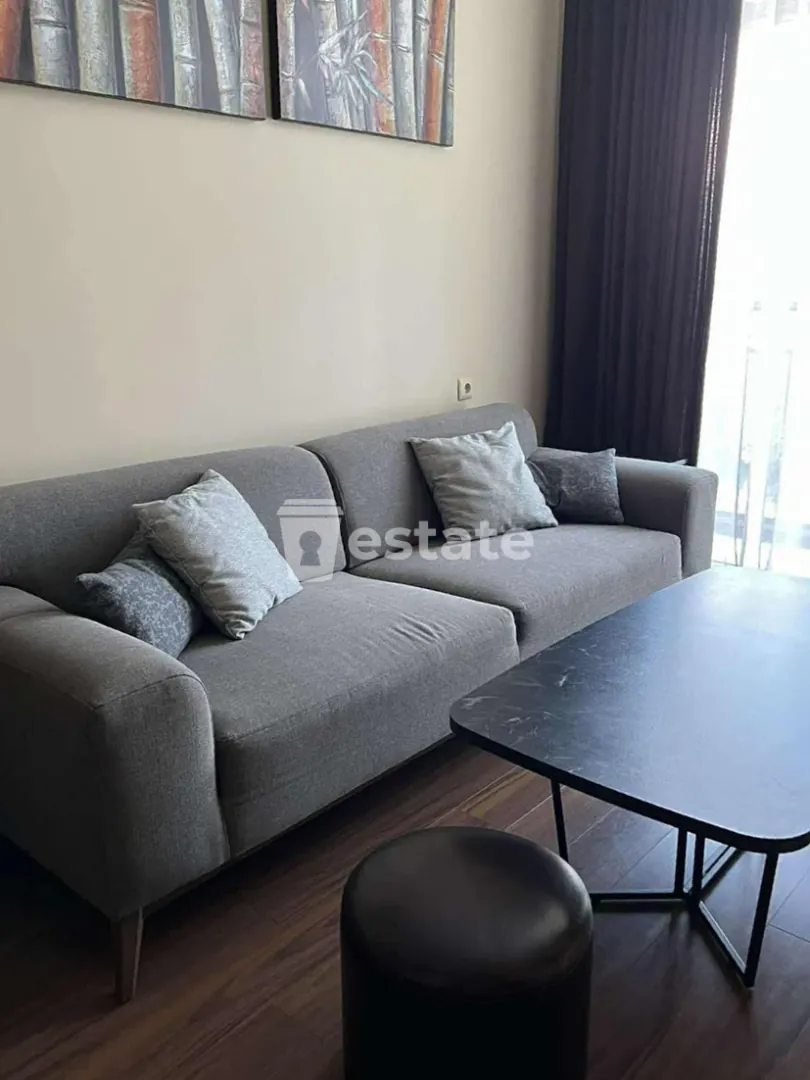 Comfortable 1+1 apartment for rent in Batumi center — photo 1