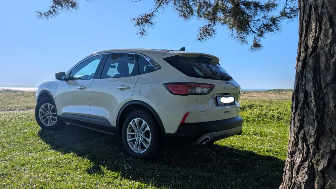 Ford Escape, 2020, 4x4. 1,5. — photo 4
