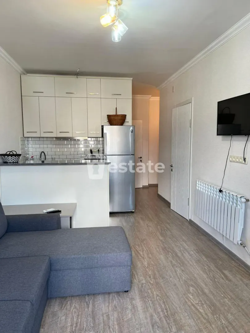 Cozy 2+1 apartment for rent — photo 2