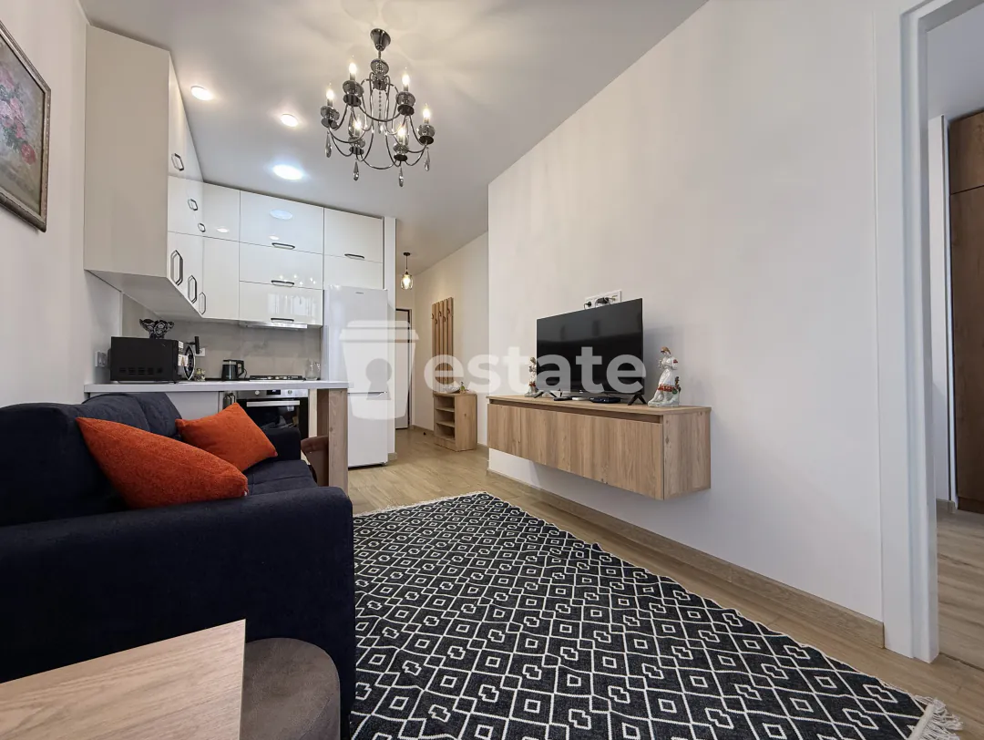 Comfortable 1+1 apartment for rent in Old Batumi — photo 4