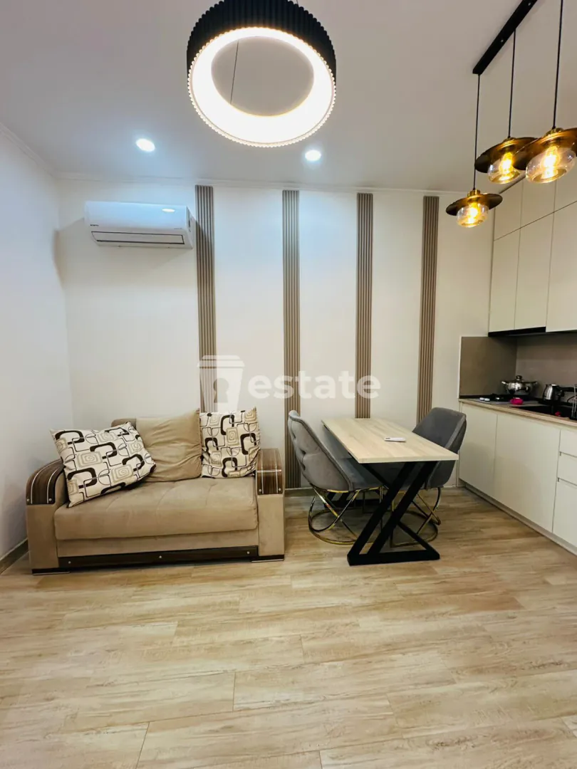 Comfortable 1+1 for rent near May 6th Park — photo 2