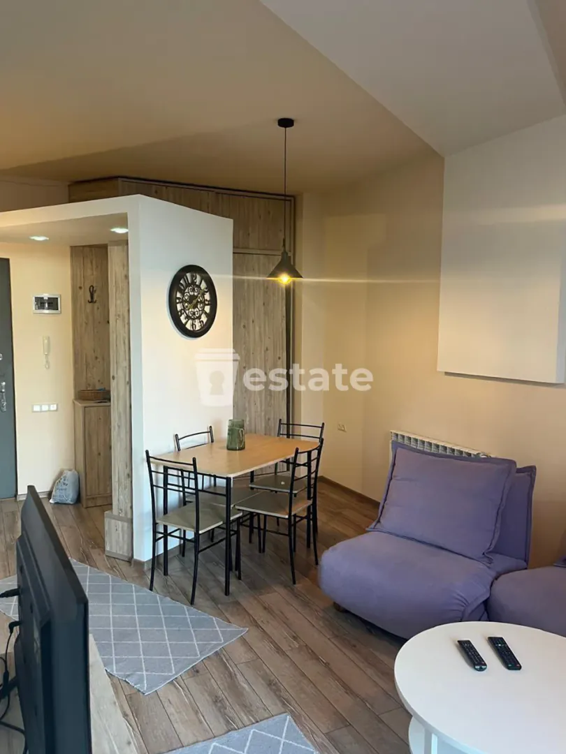 Cozy 1+1 apartment for rent in old Batumi — photo 2
