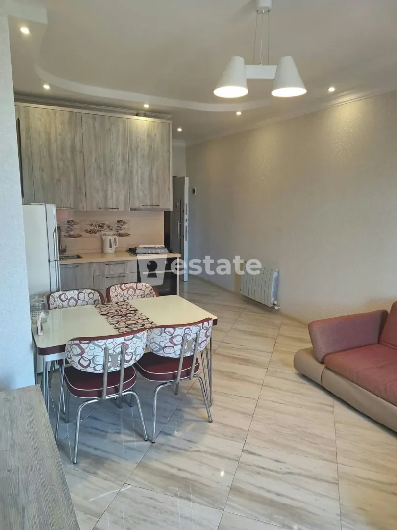 Renting a comfortable 1+1 apartment near the new boulevard — photo 3