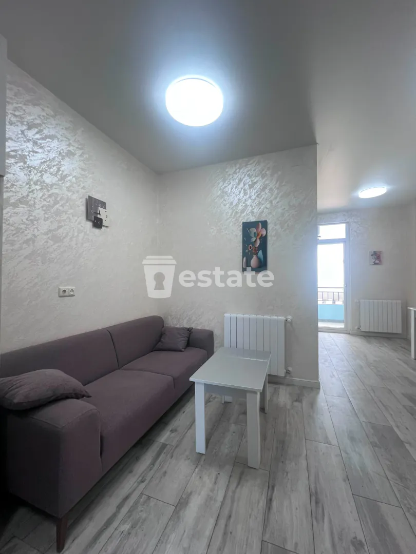 Renting out a comfortable 1+1 near the sports palace — photo 1
