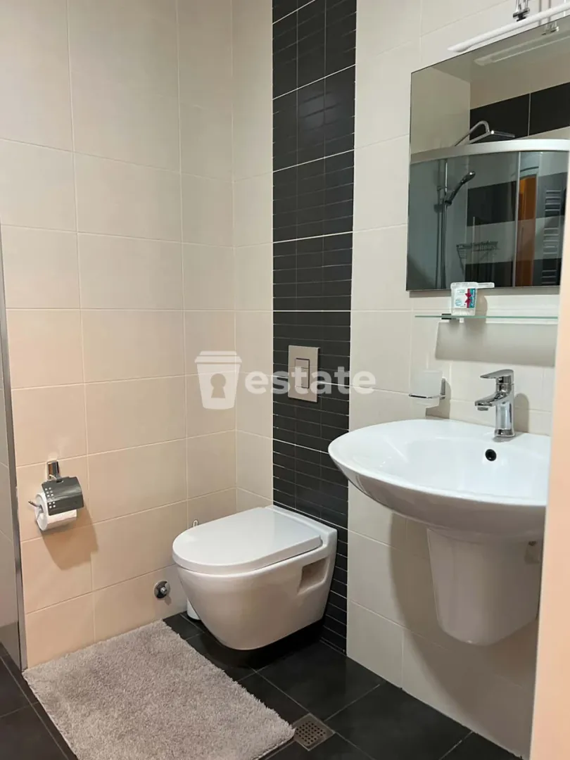 Comfortable 1+1 apartment for rent in Batumi center — photo 9