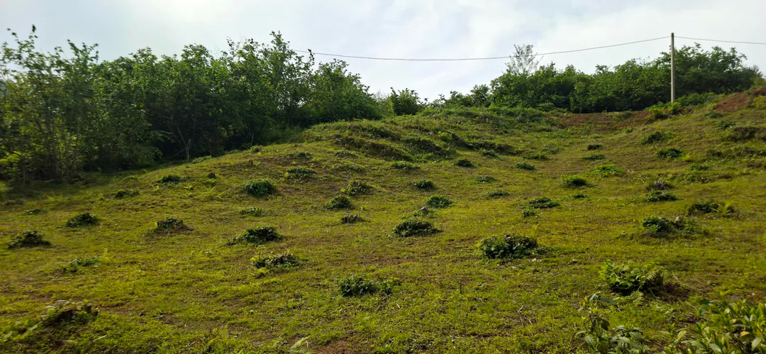 Land plot urgently for sale — photo 8