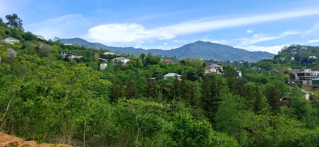 Land plot urgently for sale — photo 4