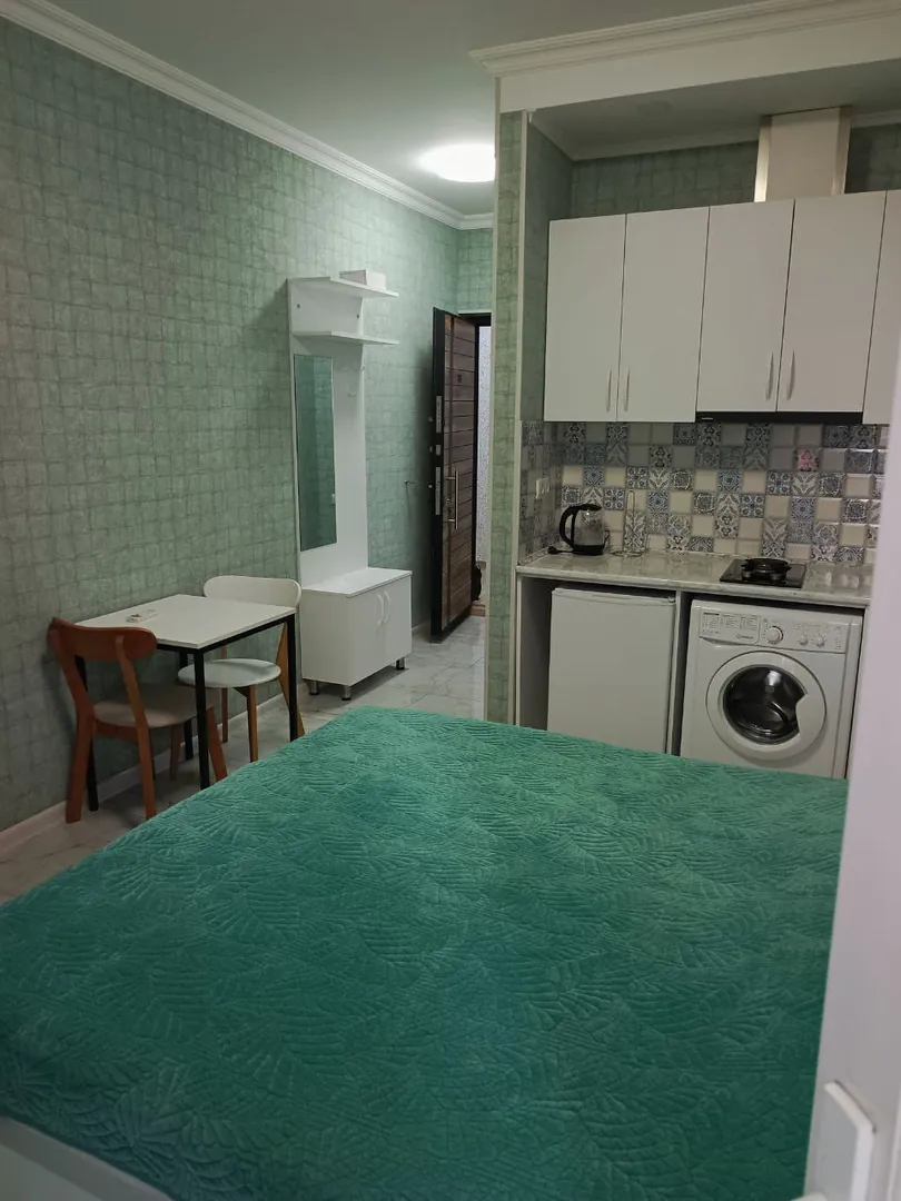Cozy studio for rent — photo 3