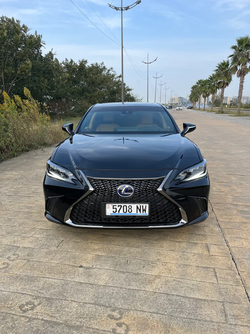 Lexus ES 300h — photo 1
