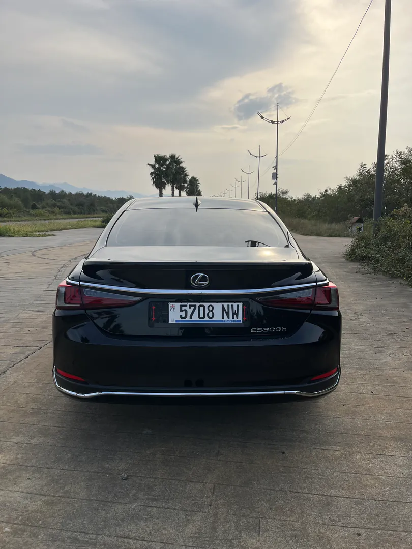 Lexus ES 300h — photo 6