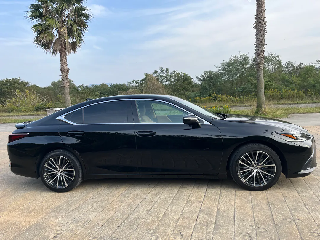 Lexus ES 300h — photo 4