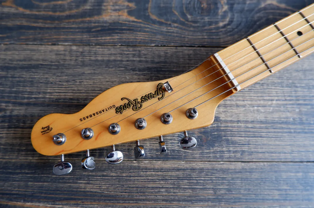 Telecaster Grass Roots (by ESP) G-TE-50M BLK — photo 2