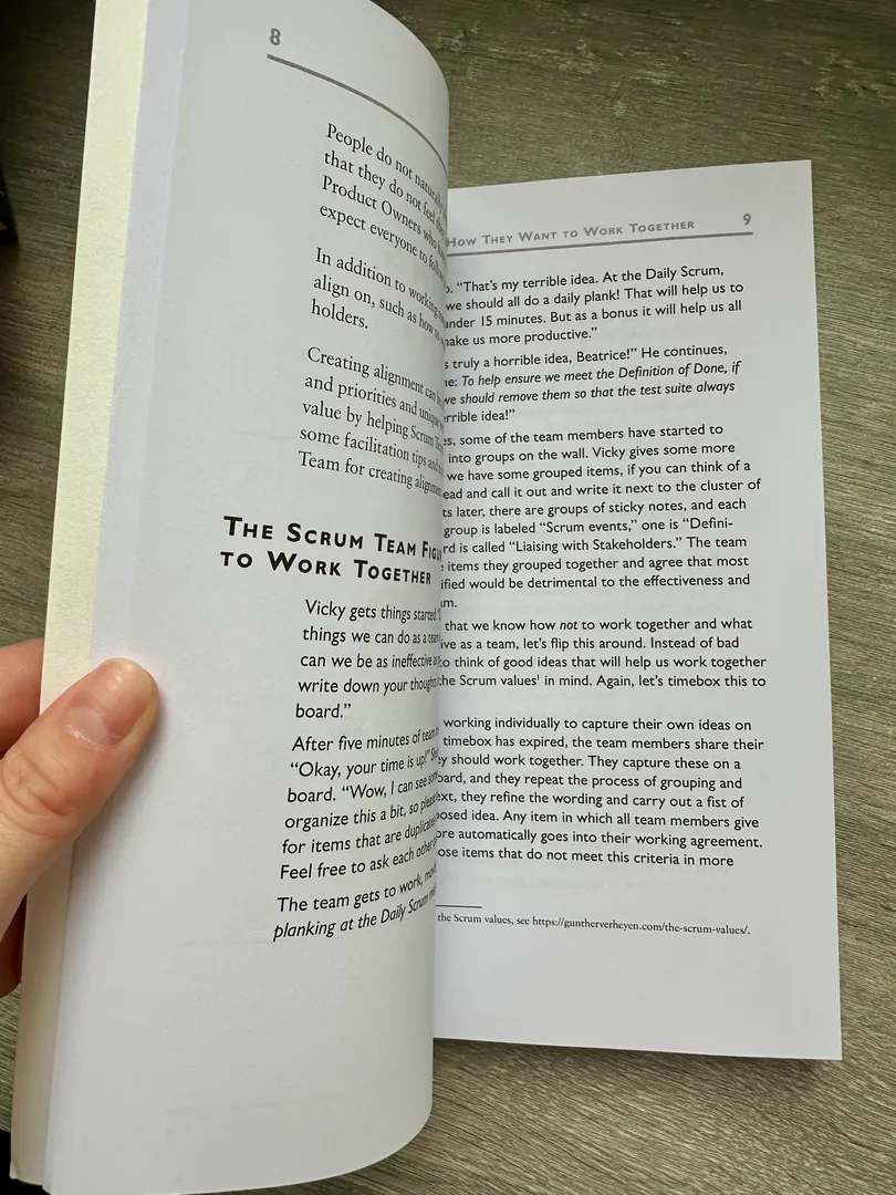 Supporting Professional Scrum Teams — photo 2