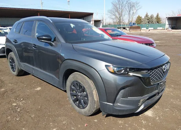 Car selection and delivery from the USA — photo 2